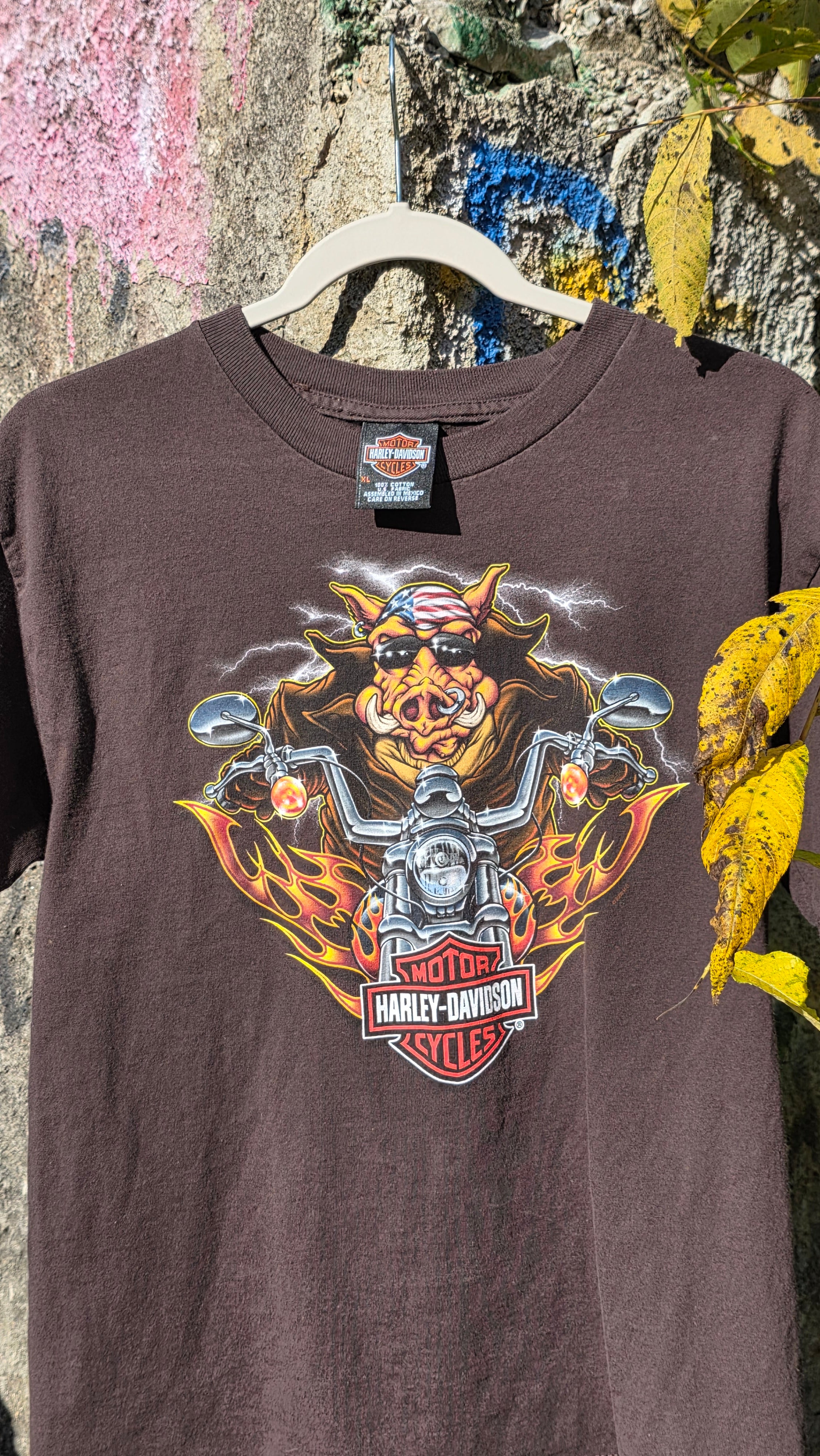 Harley Davidson "Hog rider" graphic tee. Springfield, Mo