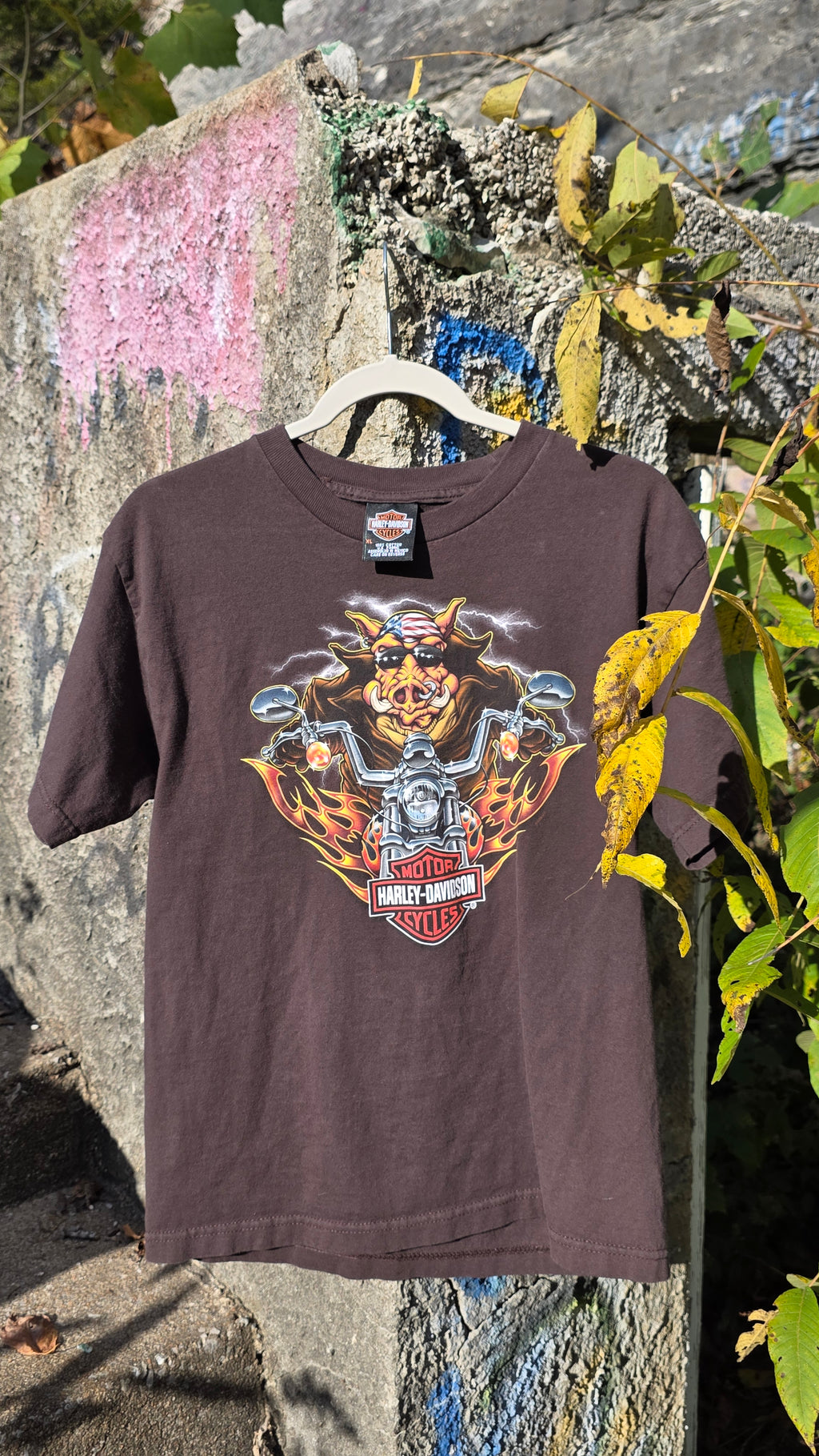 Harley Davidson "Hog rider" graphic tee. Springfield, Mo