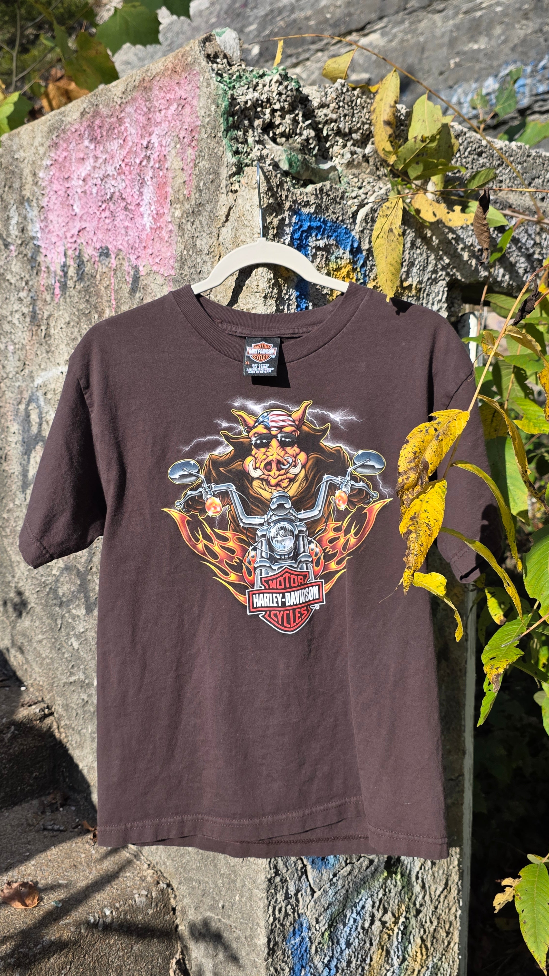 Harley Davidson "Hog rider" graphic tee. Springfield, Mo