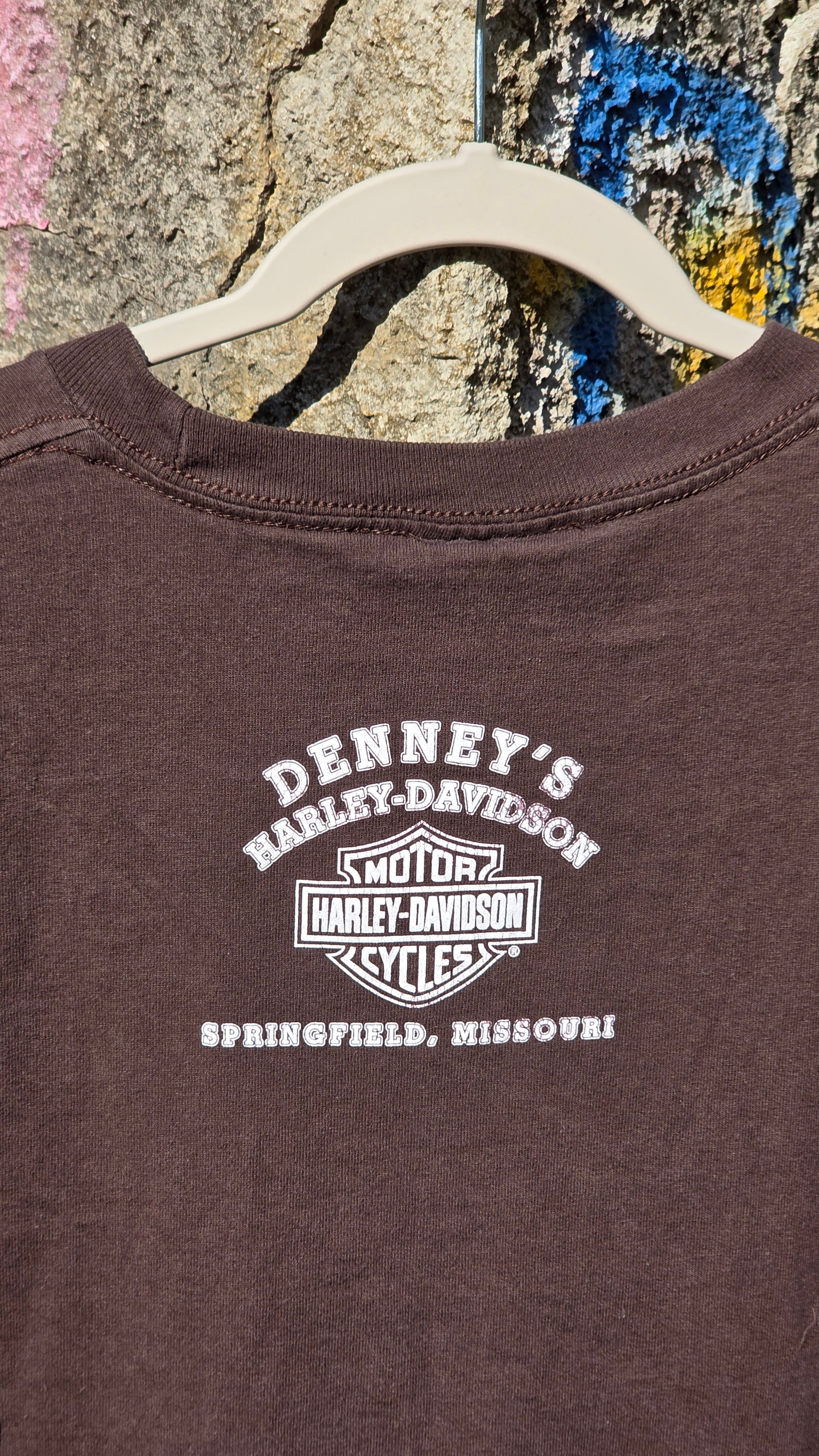 Harley Davidson "Hog rider" graphic tee. Springfield, Mo