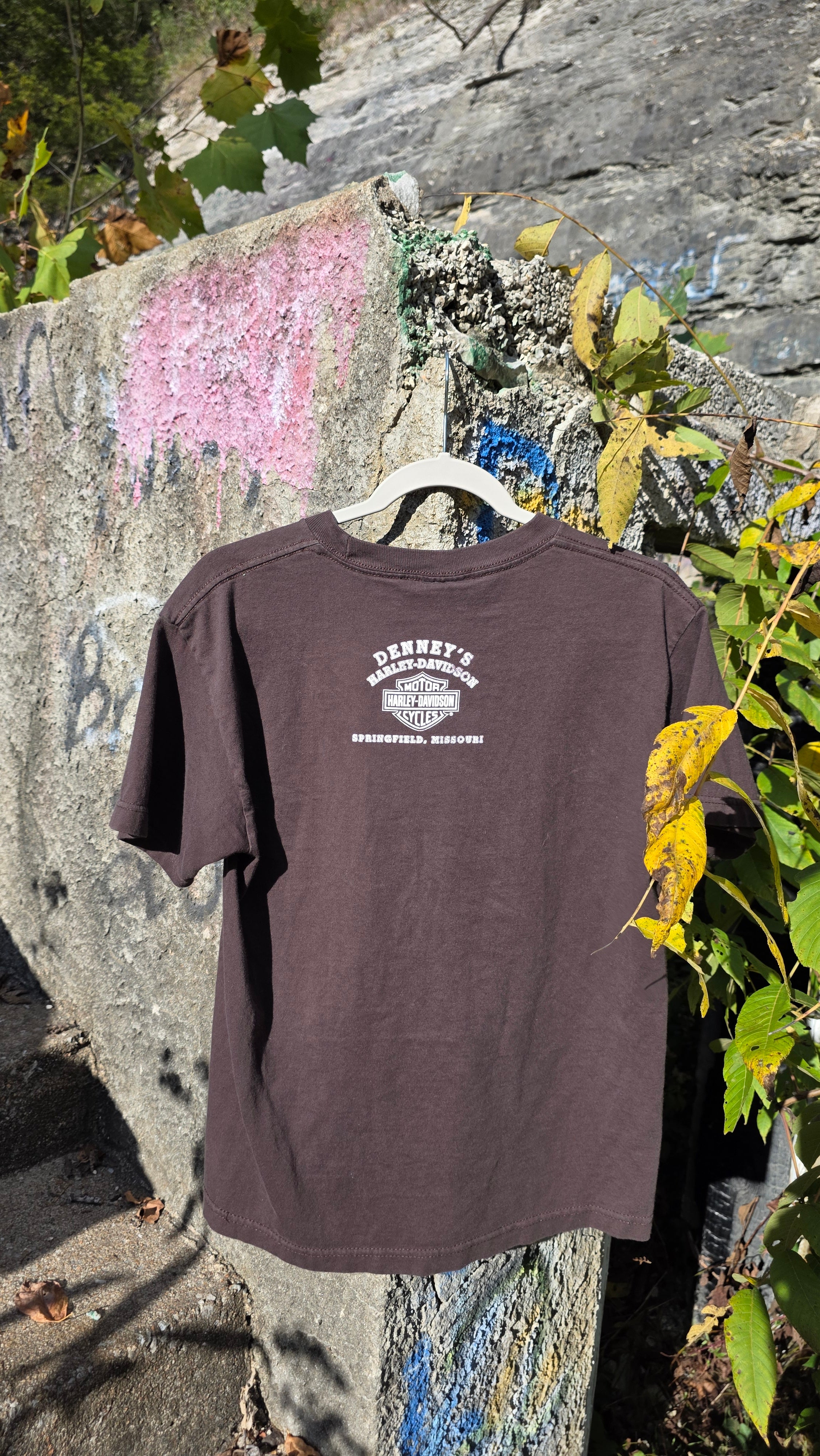 Harley Davidson "Hog rider" graphic tee. Springfield, Mo